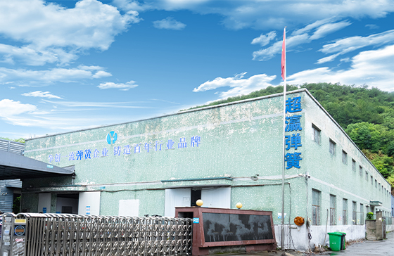 Ningbo Chaoying Spring Industry & Trade Co., Ltd.